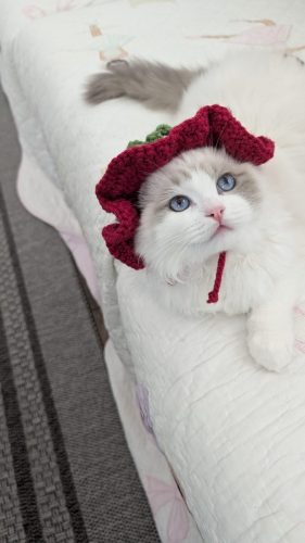 632a89e5-67a5-43de-8e3f-80d666285d21-1 all 3894