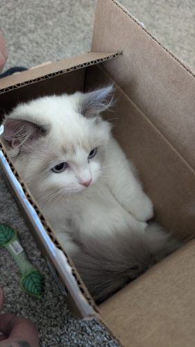 632a89e5-67a5-43de-8e3f-80d666285d21-1 all 3963