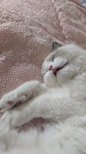 632a89e5-67a5-43de-8e3f-80d666285d21-1 all 3968