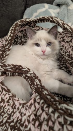 632a89e5-67a5-43de-8e3f-80d666285d21-1 all 3984