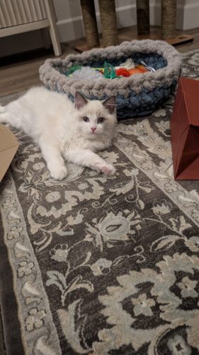 632a89e5-67a5-43de-8e3f-80d666285d21-1 all 4116