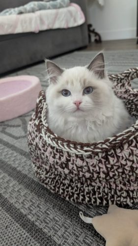 632a89e5-67a5-43de-8e3f-80d666285d21-1 all 4148